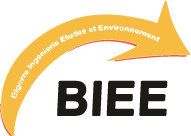 Logo BIEE Conseil - Bureau d'étude
